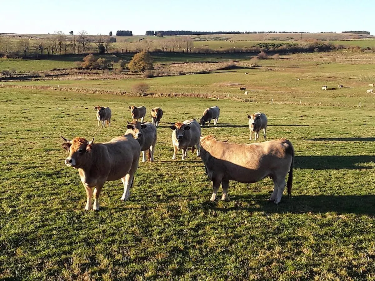 Dom wakacyjny Willa L'Oustal D'Aubrac Le Nayrac