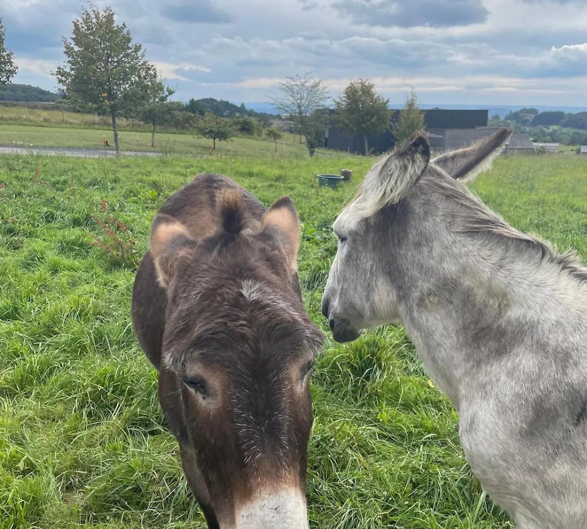 Willa L'Oustal D'Aubrac Le Nayrac