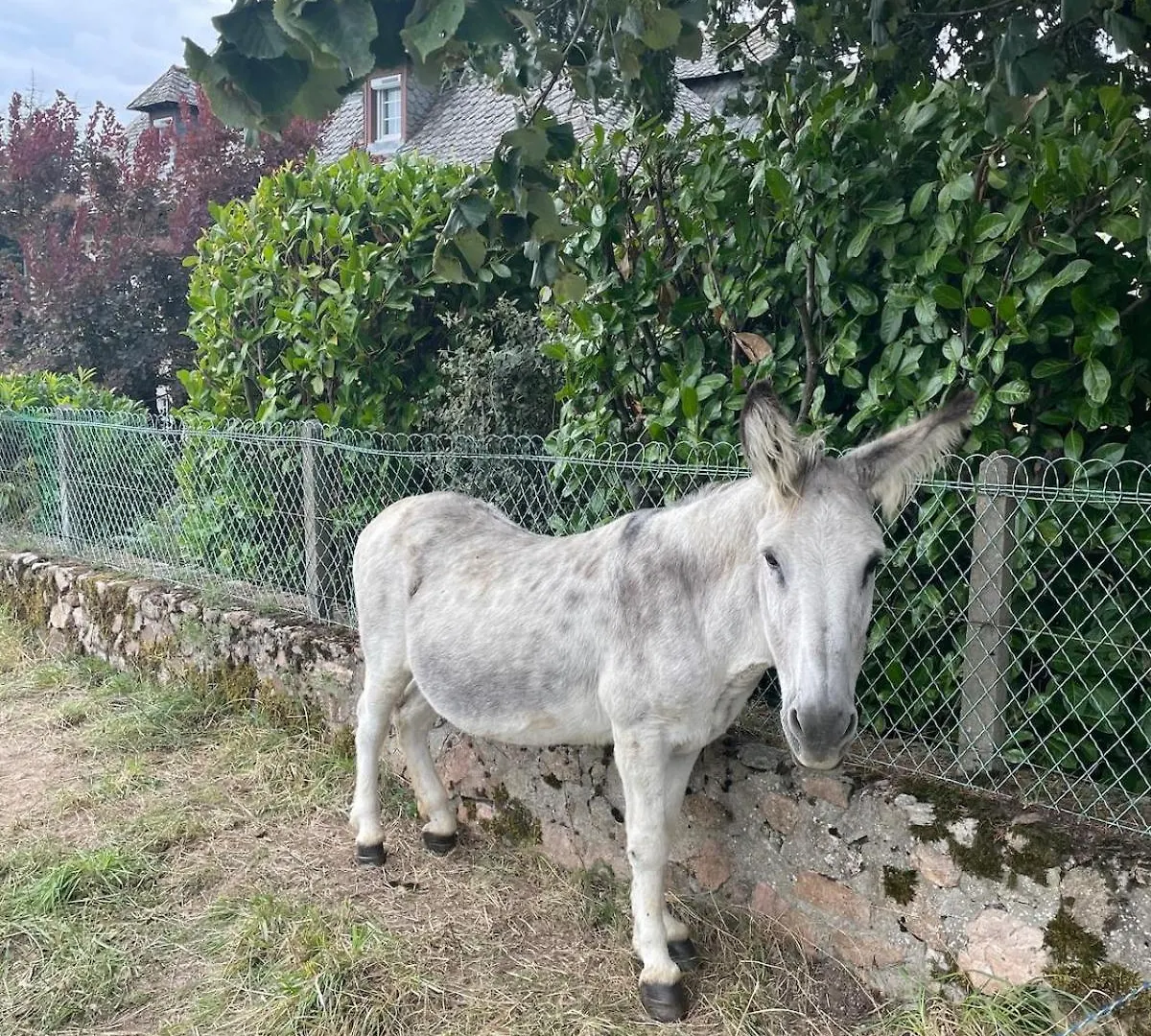 Dom wakacyjny Willa L'Oustal D'Aubrac Le Nayrac